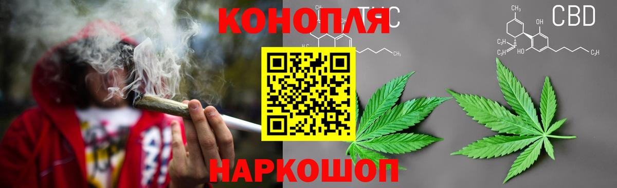 Бошки Шишки планчик Клин